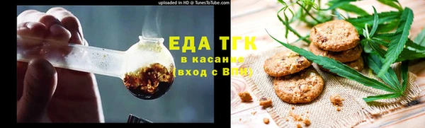хмурый Алексин