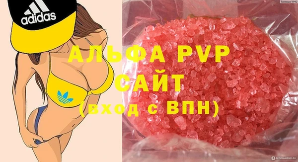 хмурый Алексин