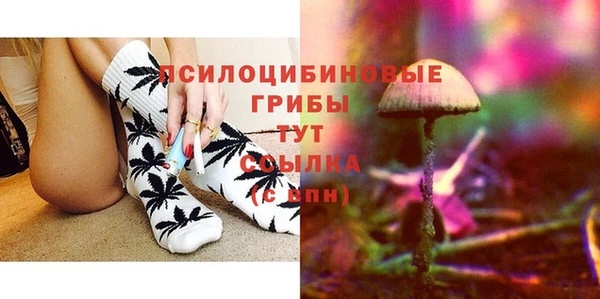 хмурый Алексин